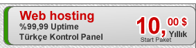 web hosting